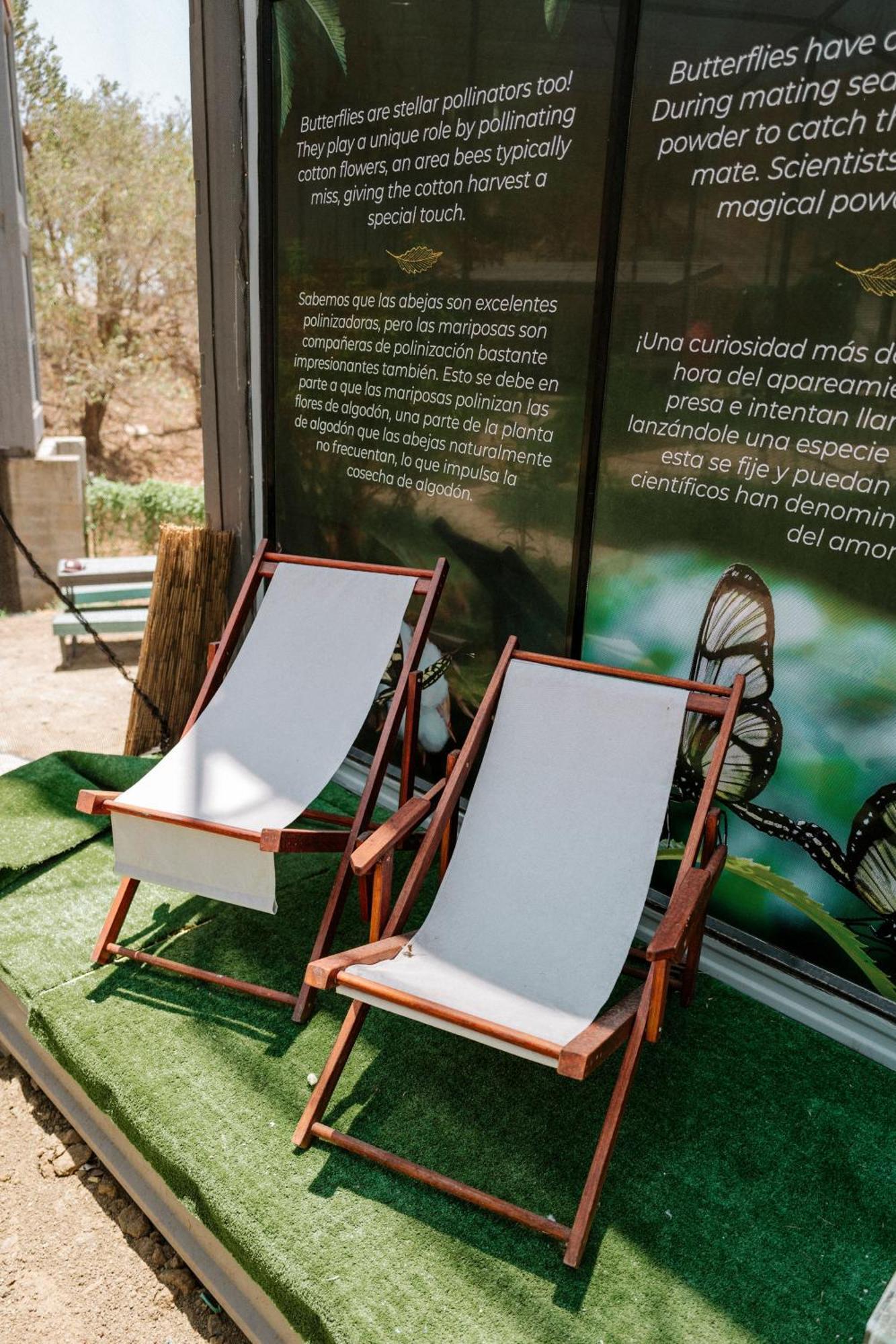 Pupa House - Capsule Hotel - Adults Only Ταμαρίντο Εξωτερικό φωτογραφία
